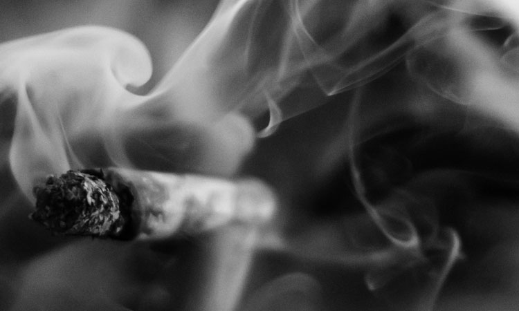 cannabis in the east bay dispensaries