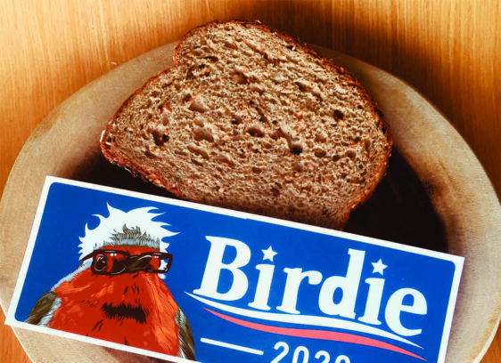 Does a Bird Not Tweet? An interview with Katie Jo Goldin, the creator of the wildly popular parody Twitter account, ProBirdRights.