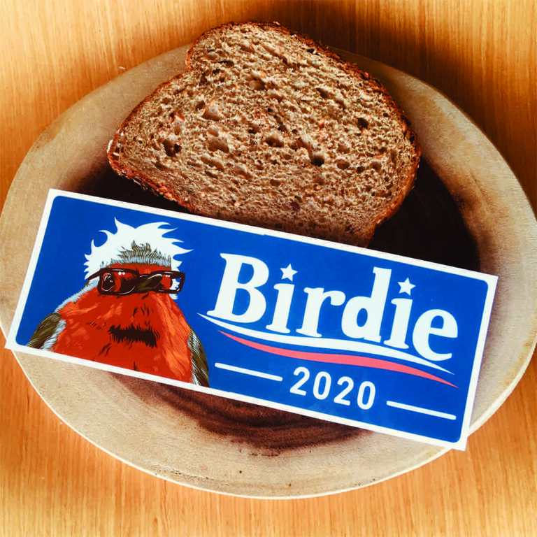 Does a Bird Not Tweet? An interview with Katie Jo Goldin, the creator of the wildly popular parody Twitter account, ProBirdRights.