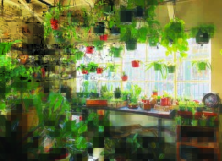 Treasure Hunting: Exploring Temescal Alley