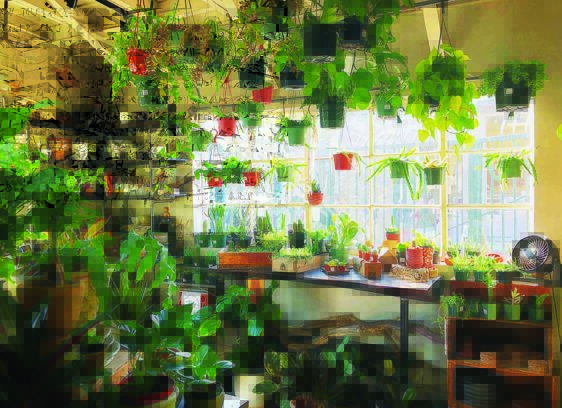 Treasure Hunting: Exploring Temescal Alley