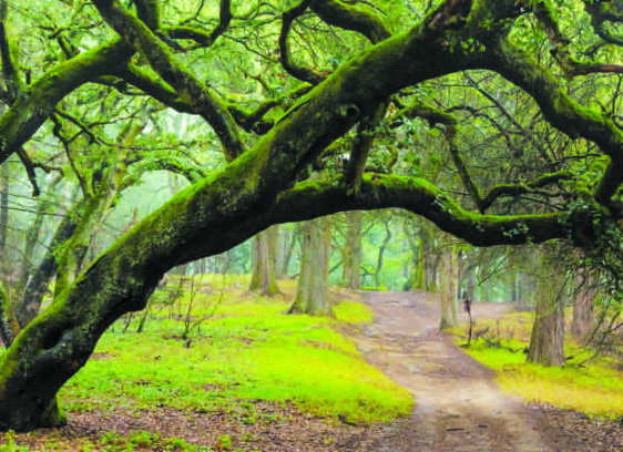 Best of East Bay: Recreation