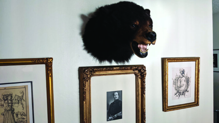 Haute Decor on a Dime
