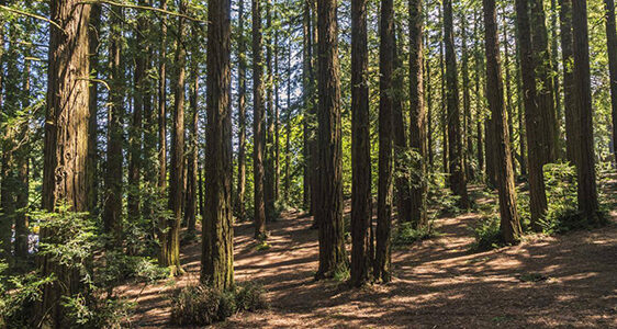 Best of East Bay 2022 – Recreation