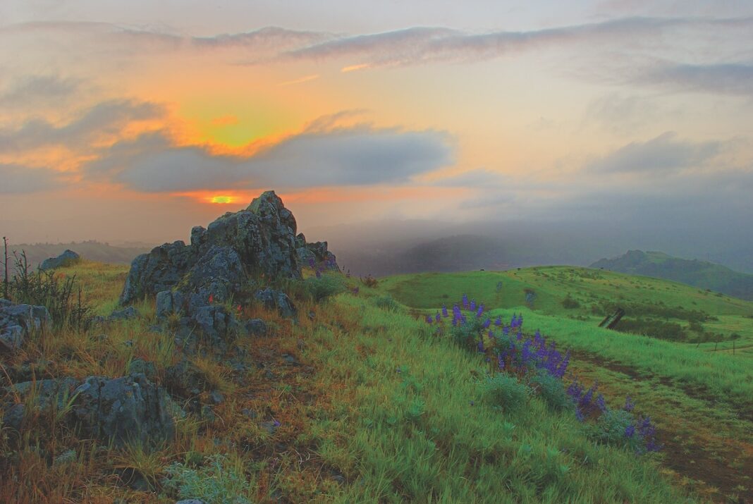 Best of East Bay 2023 - Recreation, Sibley Volcanic Regional Preserve