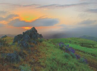 Best of East Bay 2023 – Recreation Best of East Bay 2023 - Recreation, Sibley Volcanic Regional Preserve