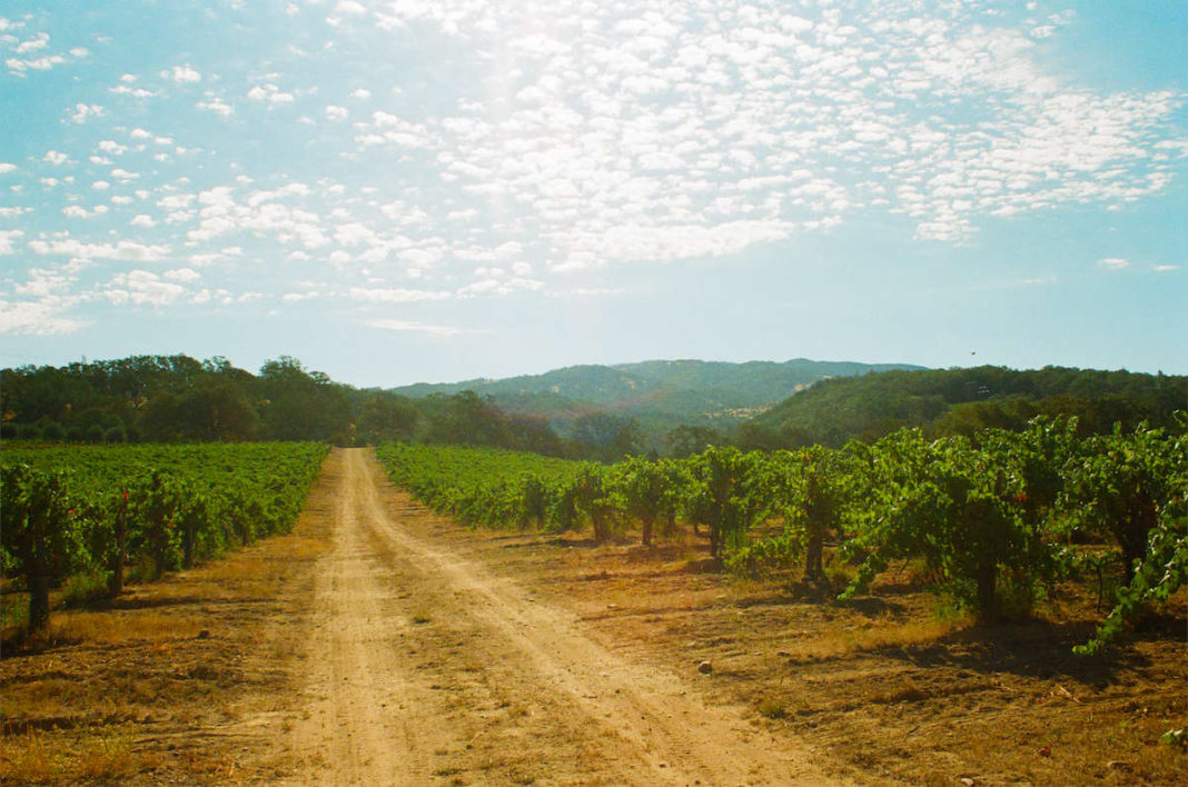 Broc Cellars Does Wine, Naturally
