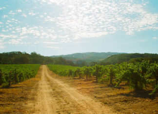 Broc Cellars Does Wine, Naturally Broc Cellars Does Wine, Naturally