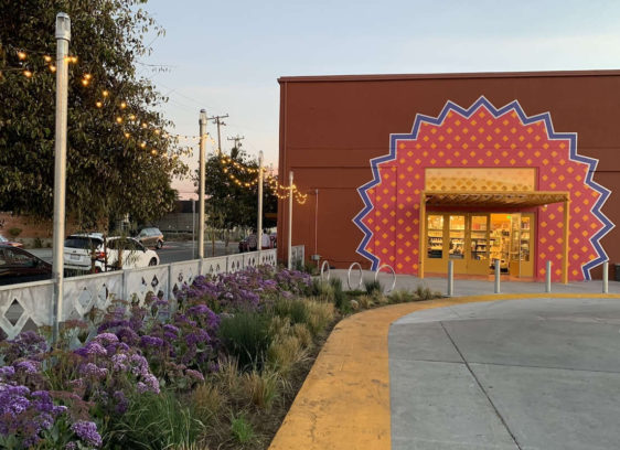 The Chutneys, Pickles and Pastes of Viks Chaat The Chutneys, Pickles and Pastes of Viks Chaat