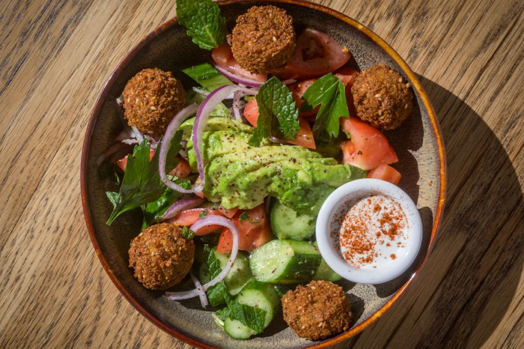 Albany’s Zaytoon Showcases Palestinian Culture