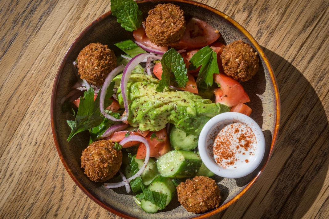 Albany’s Zaytoon Showcases Palestinian Culture