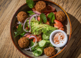 Albany’s Zaytoon Showcases Palestinian Culture Albany’s Zaytoon Showcases Palestinian Culture