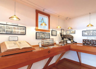 Tracking the scent in Berkeley Tracking the scent in Berkeley