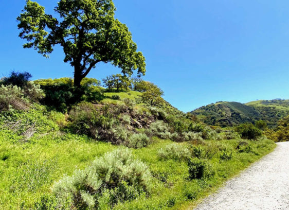 Visiting ‘Little Yosemite’ Visiting 'Little Yosemite'