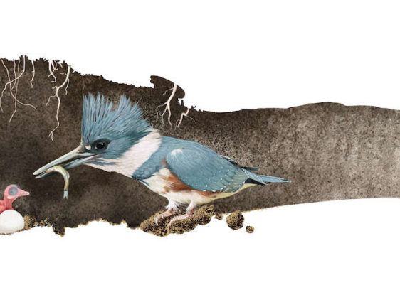 Artist Jane Kim brings life to life Artist Jane Kim brings life to life