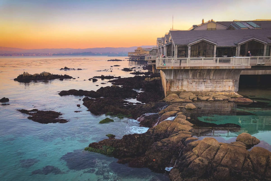 A coastal escape offers waves, wildlife and worry-free luxury