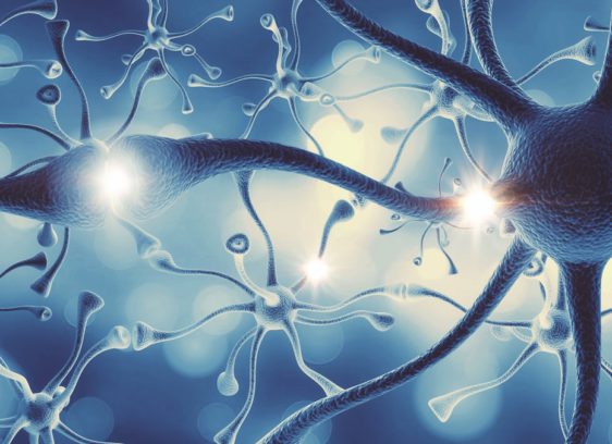 Keeping the synapses snappin’ Keeping the synapses snappin’