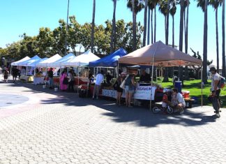 Farmers markets offer fresh harvest and local finds Farmers markets offer fresh harvest and local finds