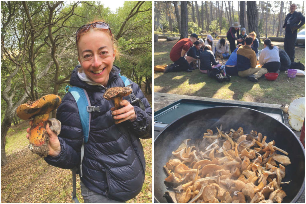 Edible ecosystems grow wildly from shoreline to forest