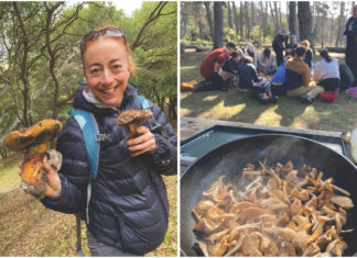 Edible ecosystems grow wildly from shoreline to forest Edible ecosystems grow wildly from shoreline to forest