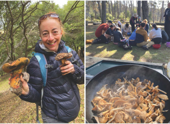 Edible ecosystems grow wildly from shoreline to forest Edible ecosystems grow wildly from shoreline to forest