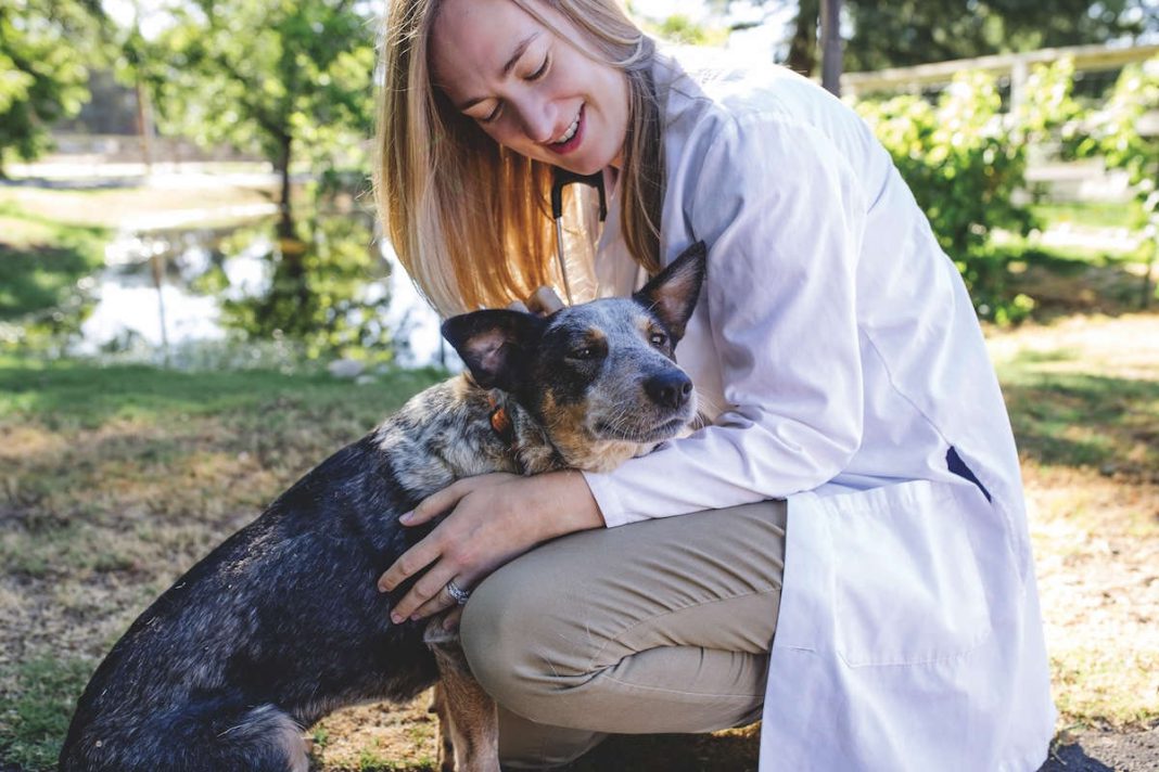 Giving our pets a peaceful passing