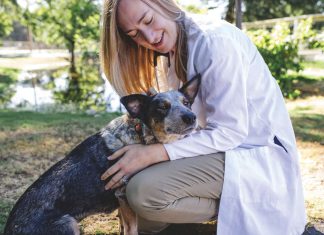 Giving our pets a peaceful passing Giving our pets a peaceful passing