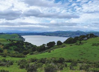 Natural bliss abounds in the East Bay Natural bliss abounds in the East Bay