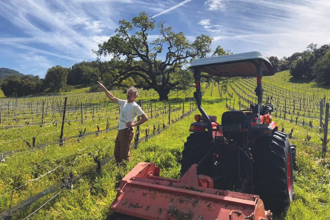 Richmond's Les Lunes elevates grapes with natural ascent