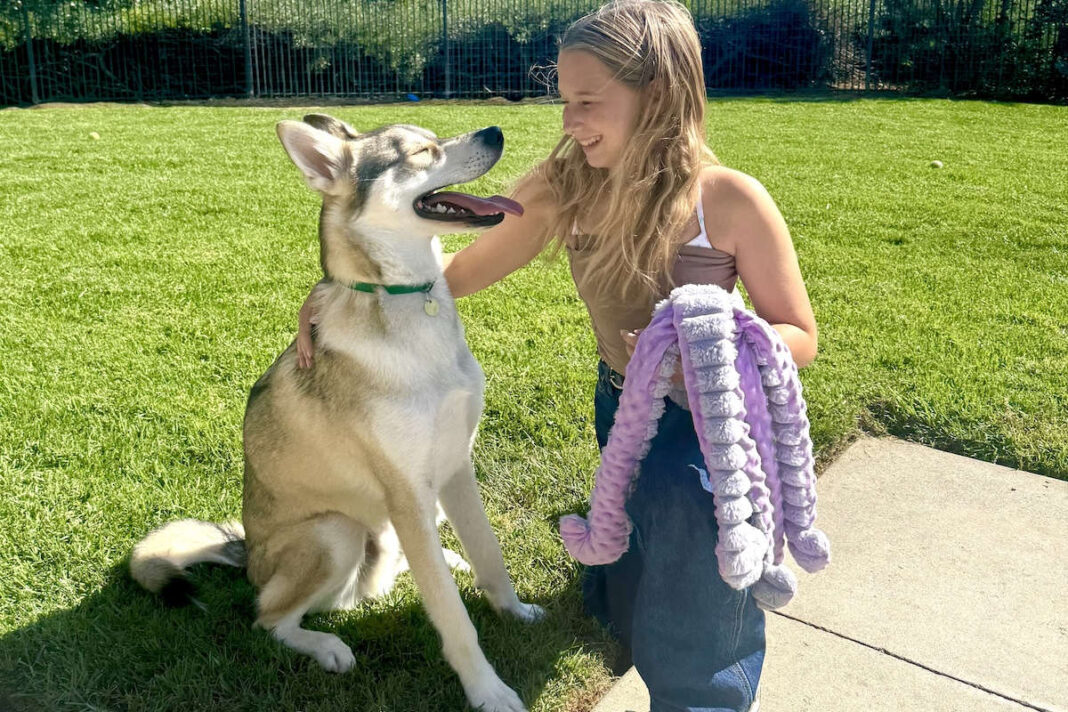 Best of Family & Pets 2026