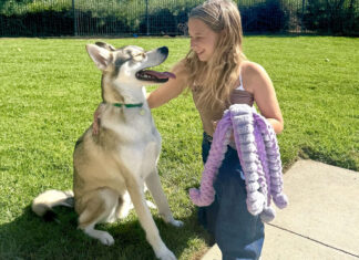 Best of Family & Pets 2026 Best of Family & Pets 2026
